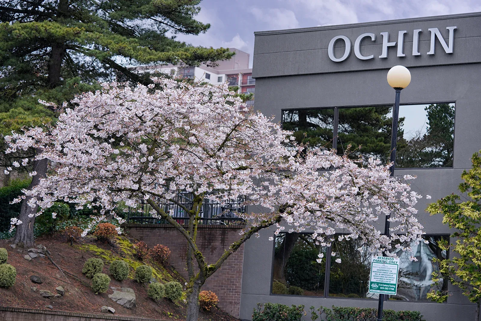OCHIN Civic Headquarters, South Waterfront