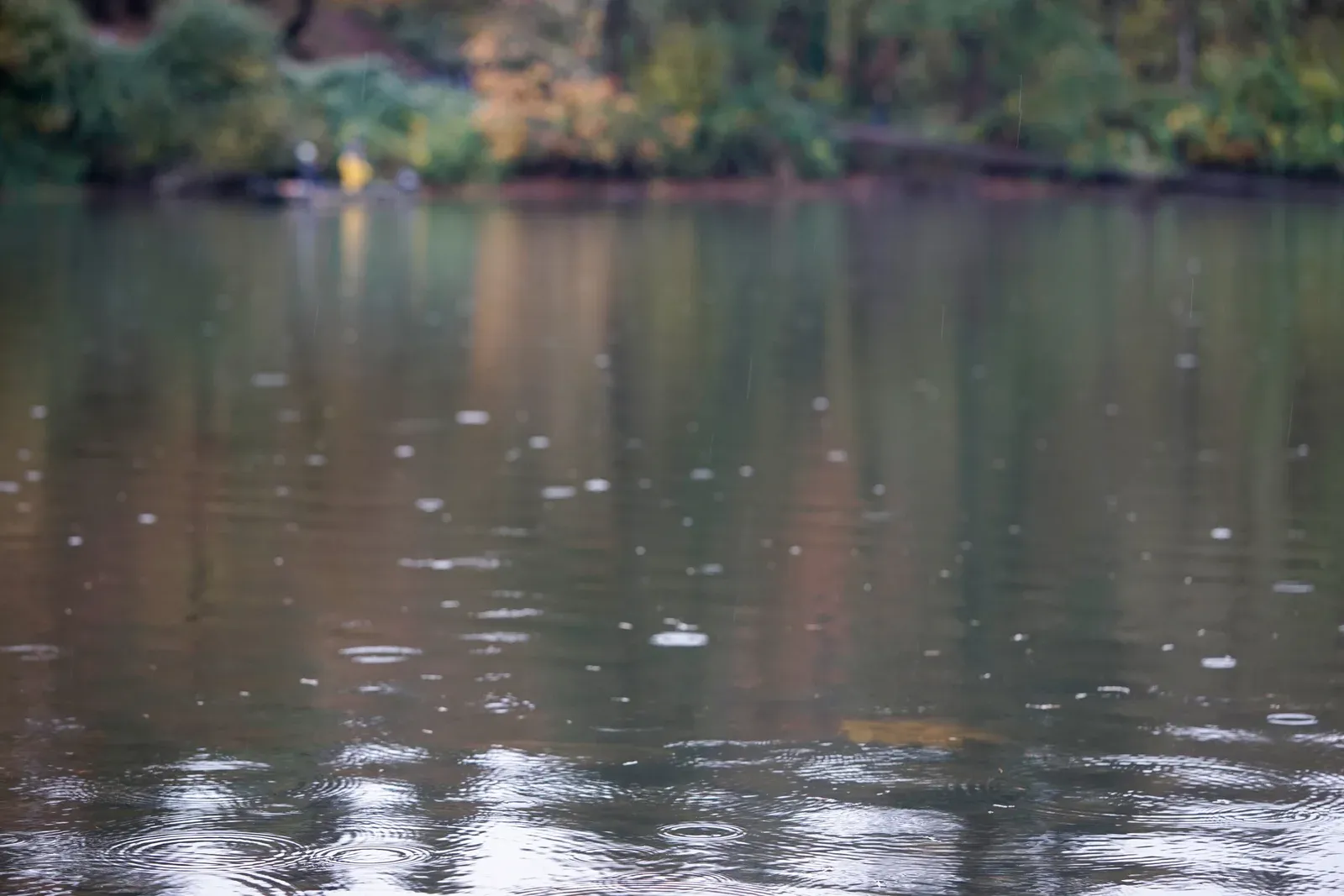 Columbia River Anglers at Camas Waterfront