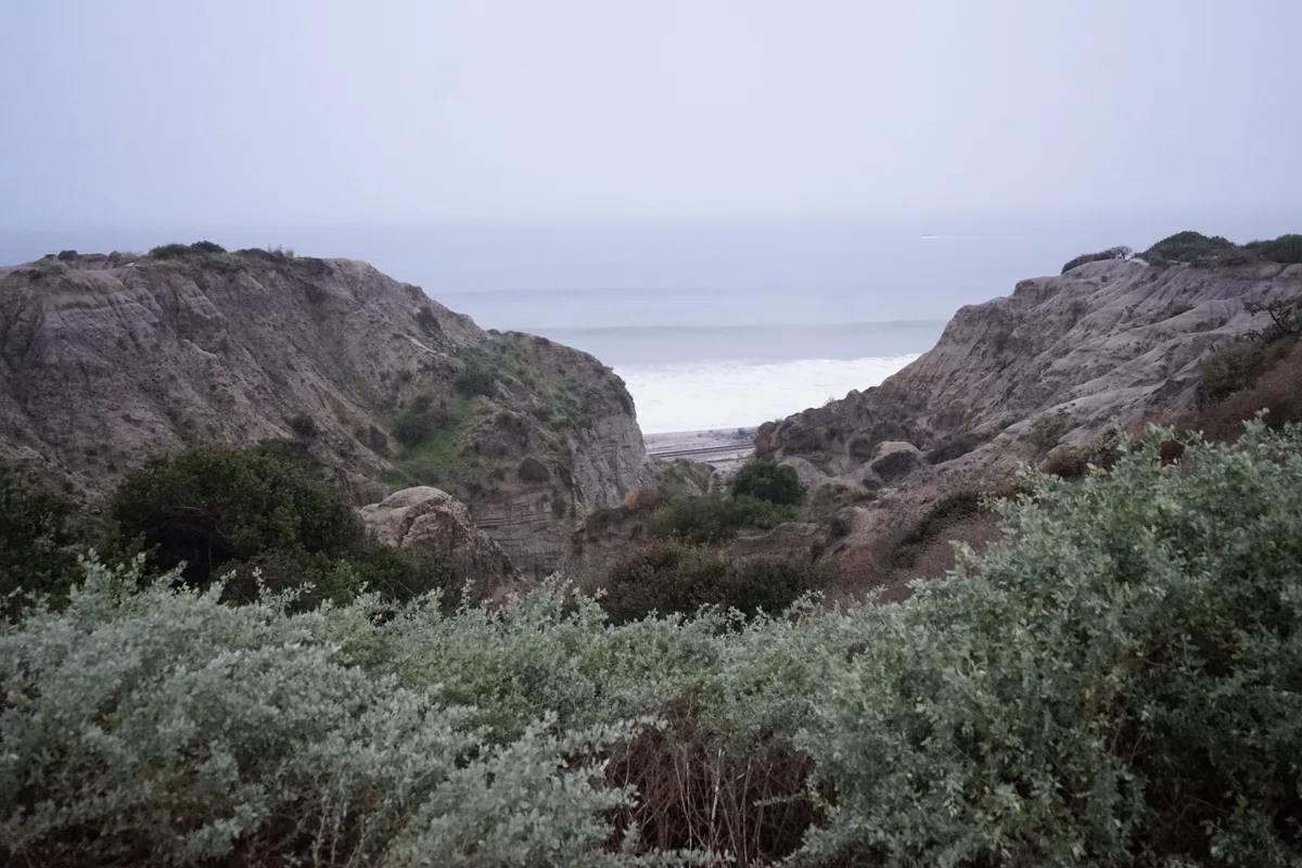 Pacific Crest Living Sanctuary #2745