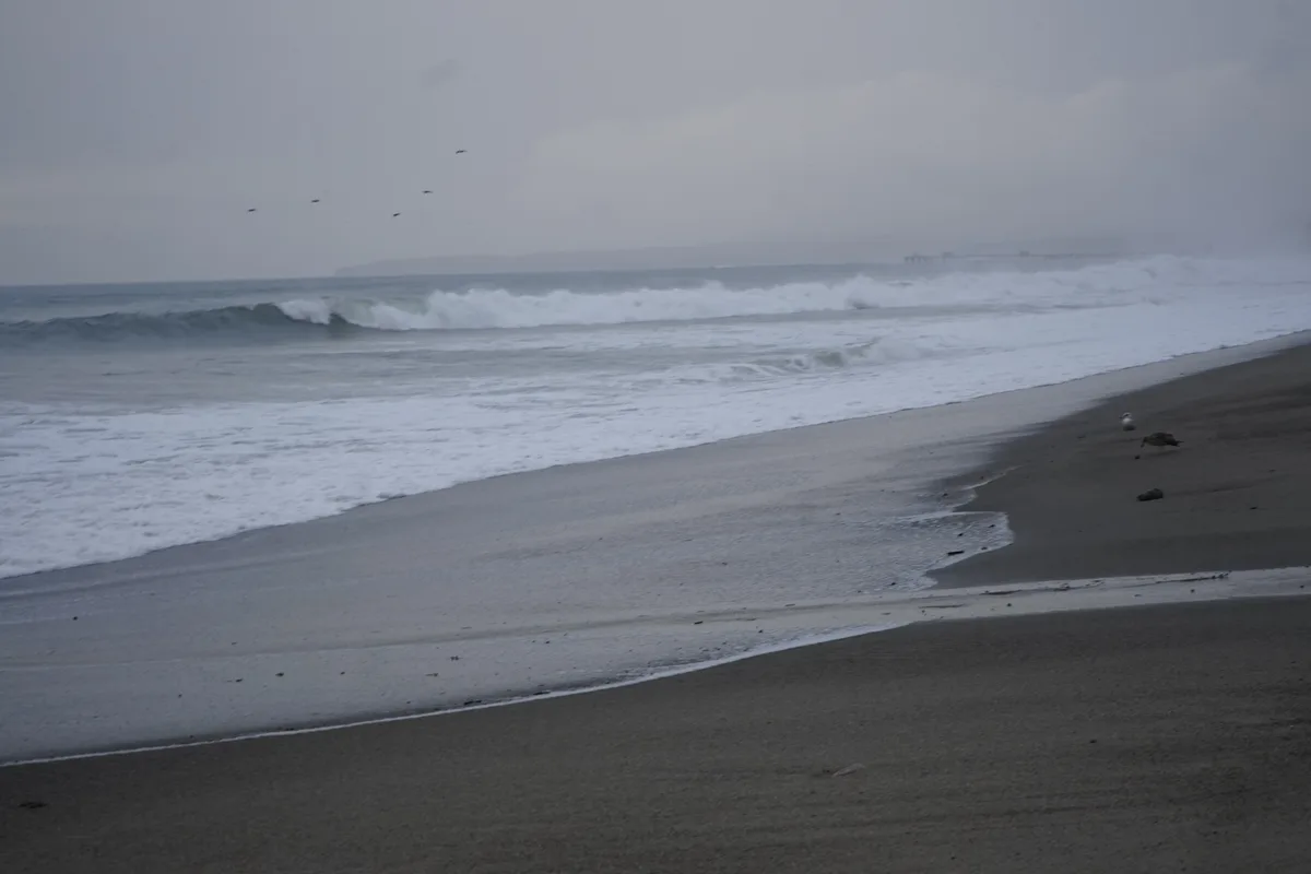 Pacific Crest Living Sanctuary #2748