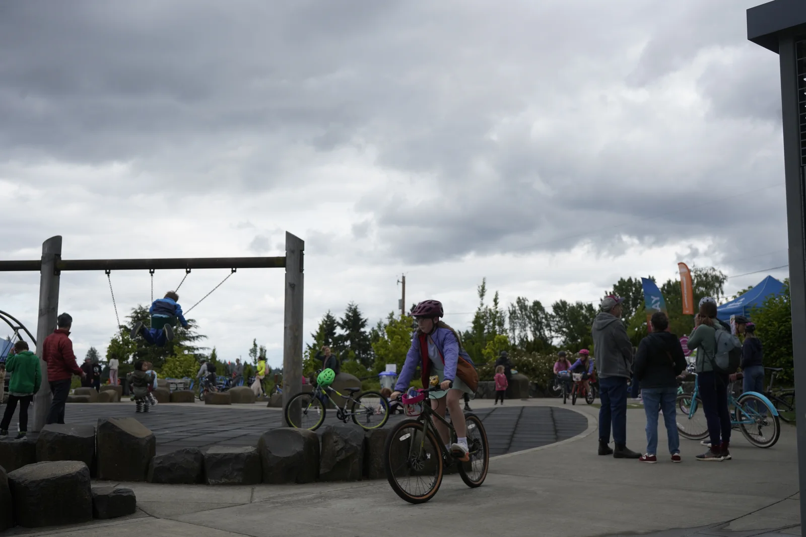 Pacific Northwest Wilderness Monograph Study #1582