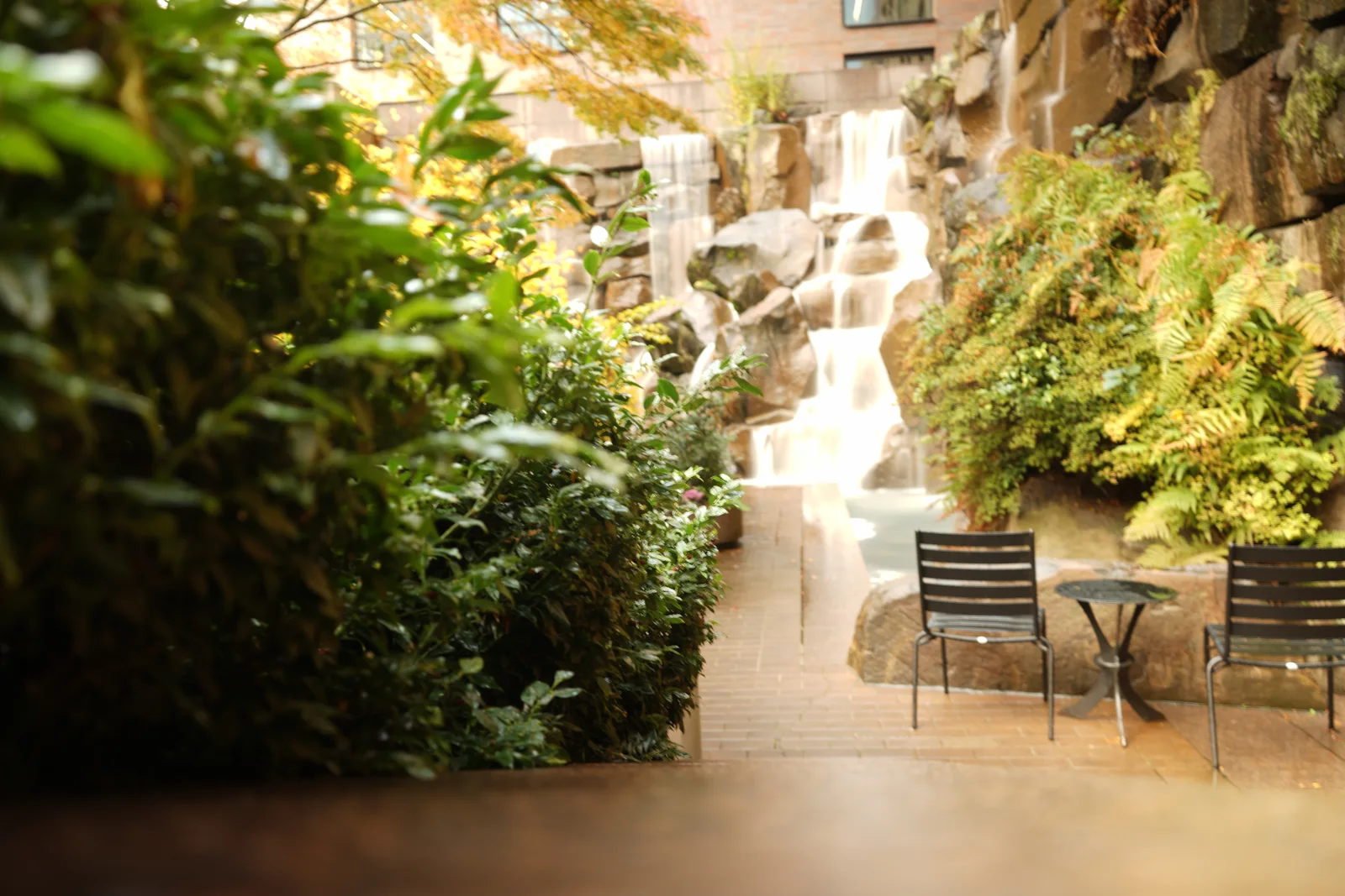 Pacific Crest Living Sanctuary #1805