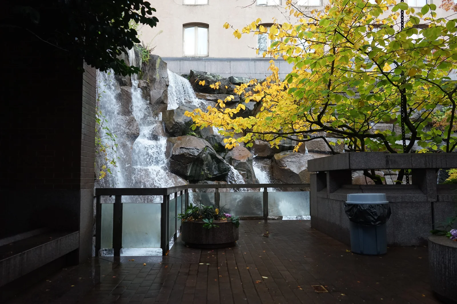 Pacific Crest Living Sanctuary #1809