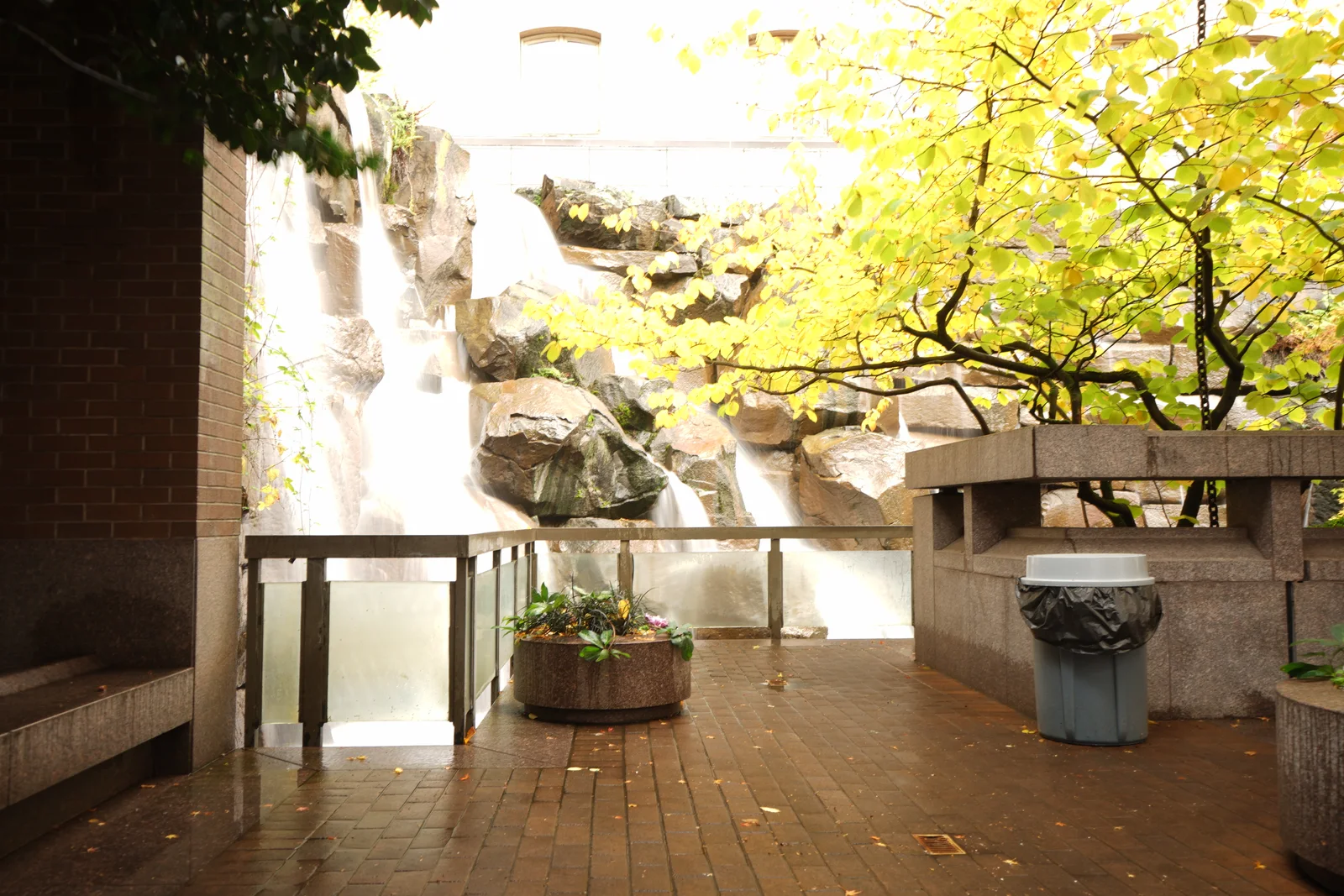 Pacific Crest Living Sanctuary #1812