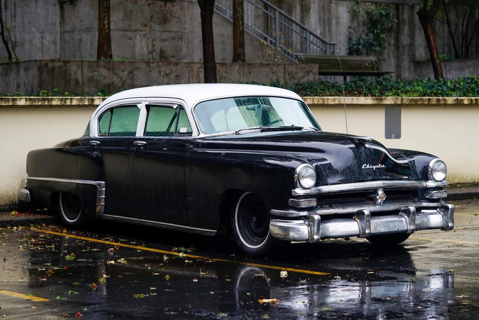 53windsor Le Luxe (archival Study #1)
