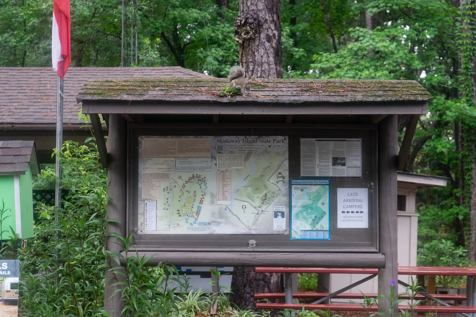 Skidaway Island Maritime Forest Sanctuary