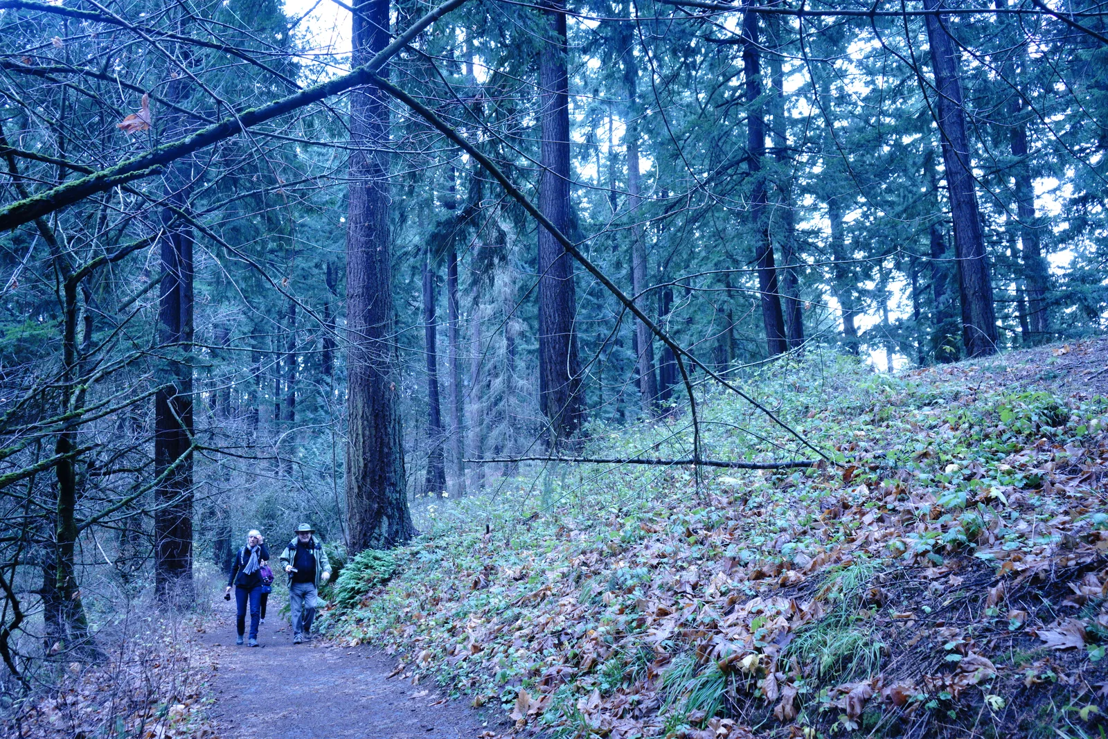 Pacific Crest Living Sanctuary #2160