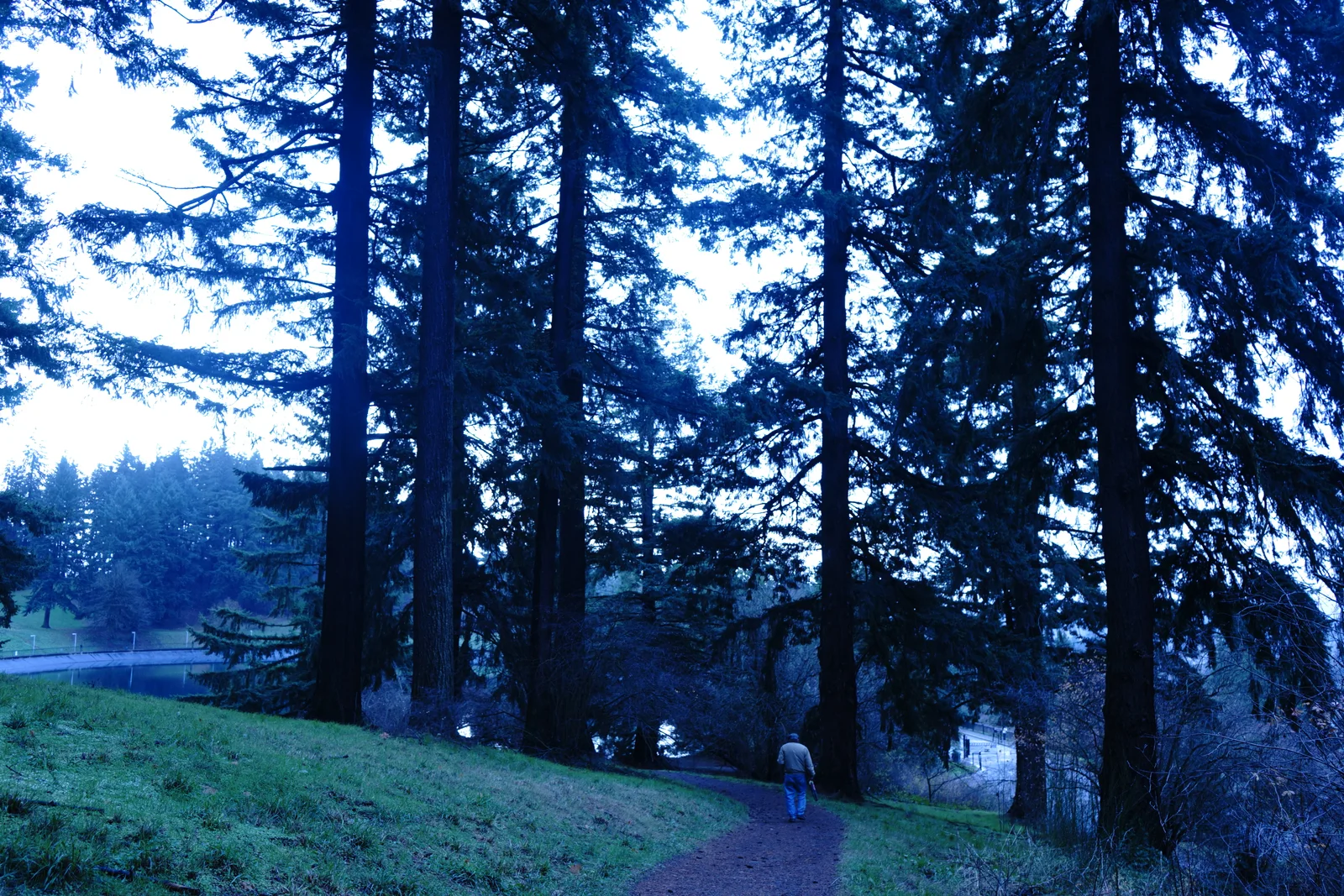 Pacific Northwest Wilderness Monograph Study #2164
