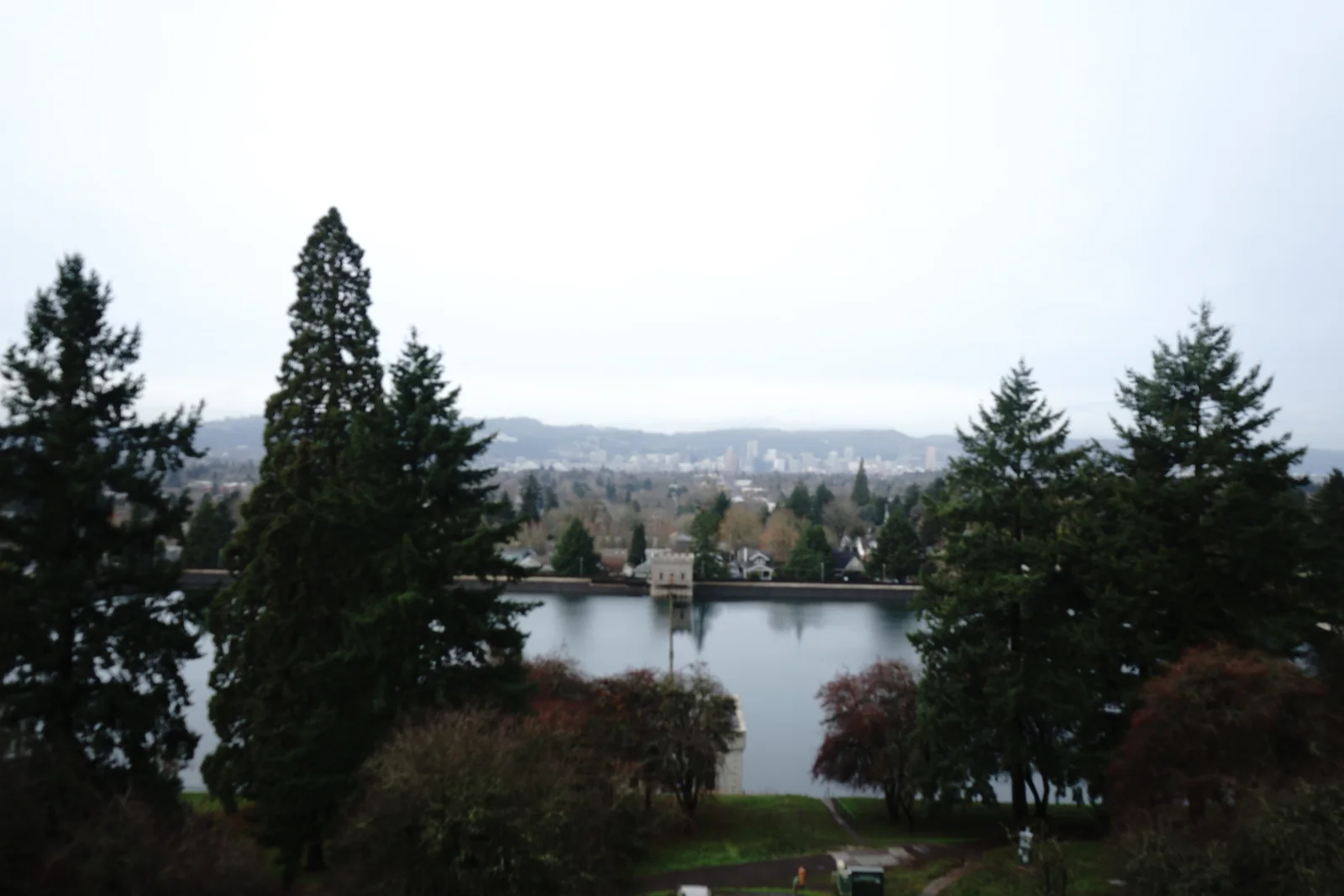 Pacific Crest Living Sanctuary #2193