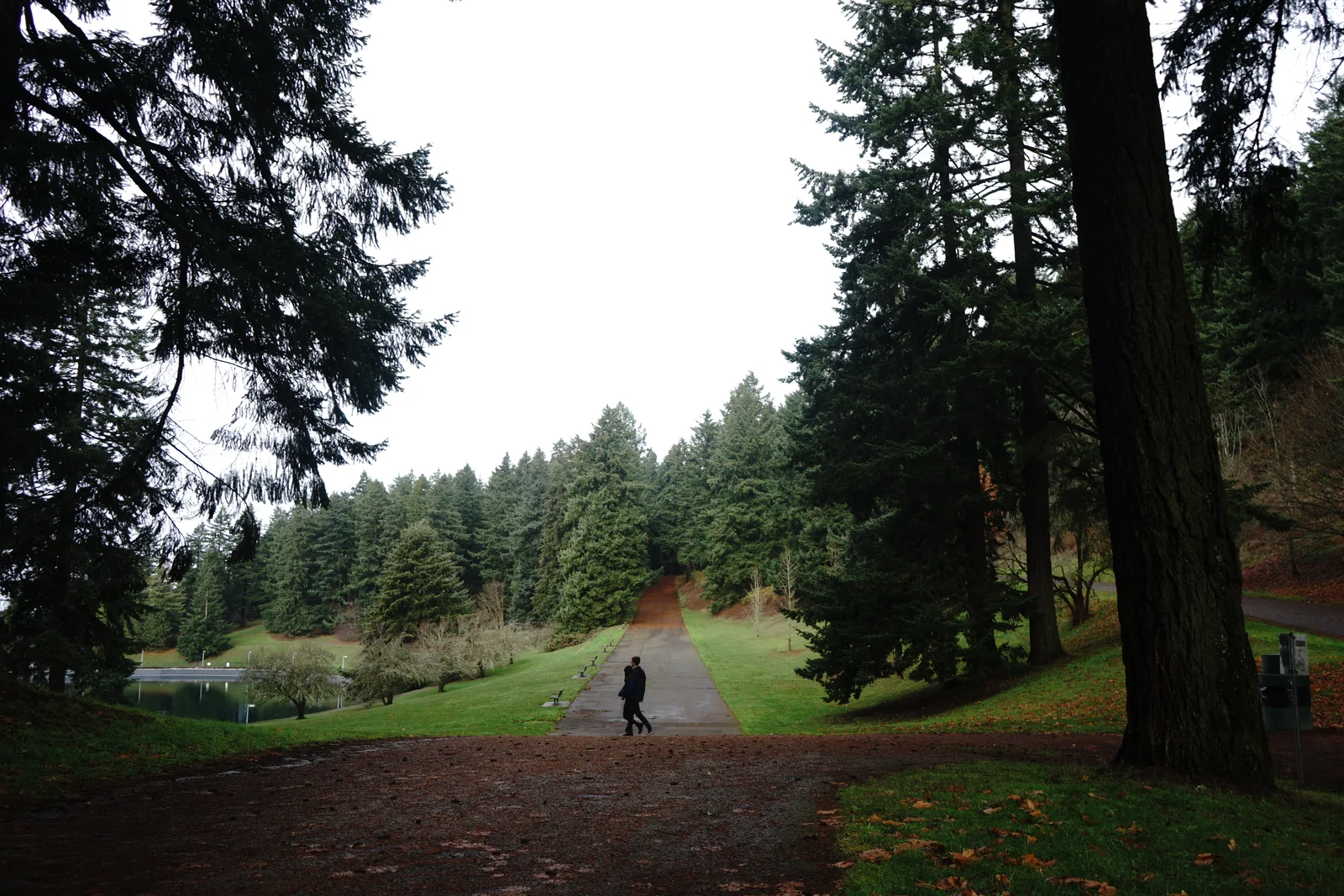 Pacific Crest Living Sanctuary #2199