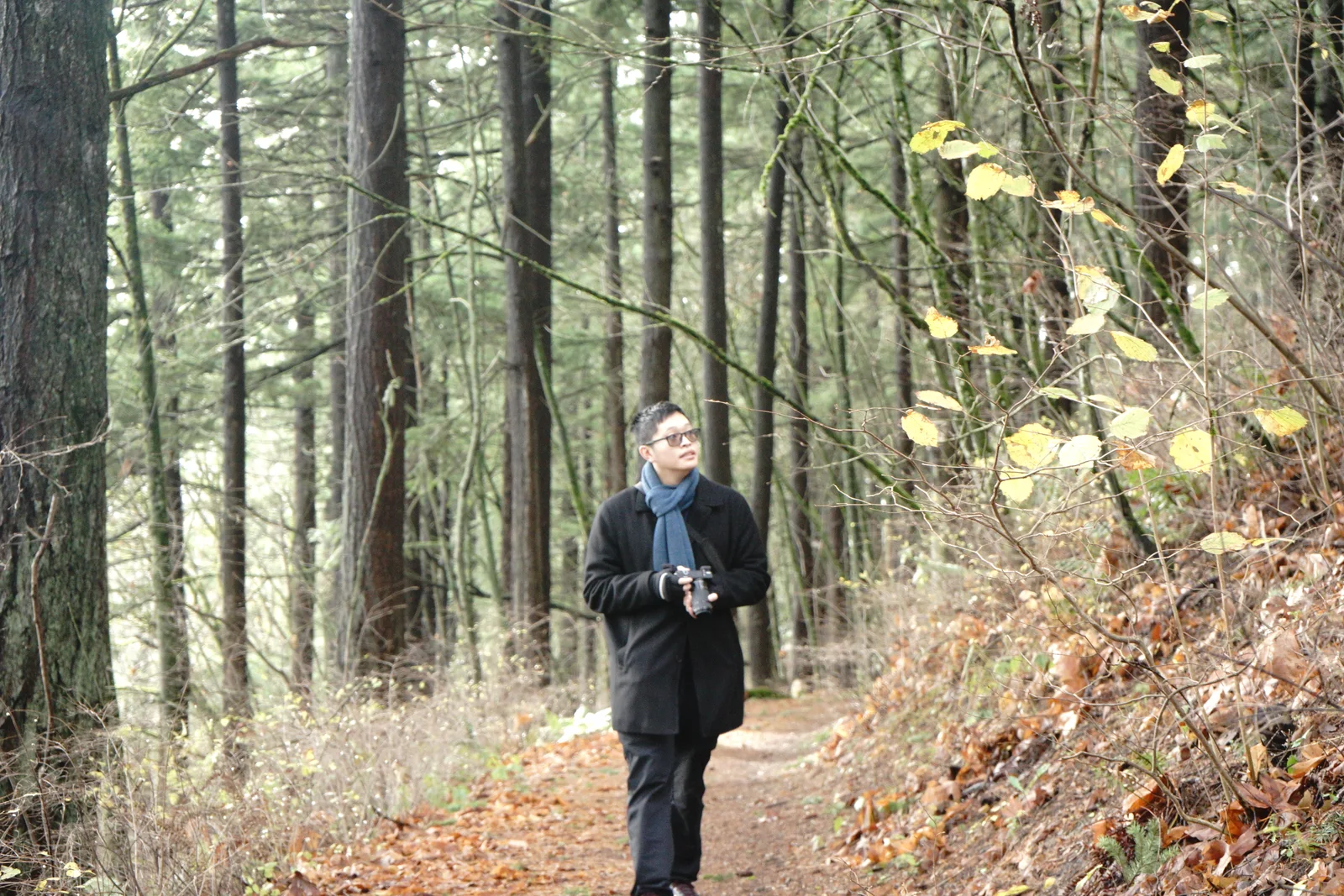 Pacific Northwest Wilderness Monograph Study #2200