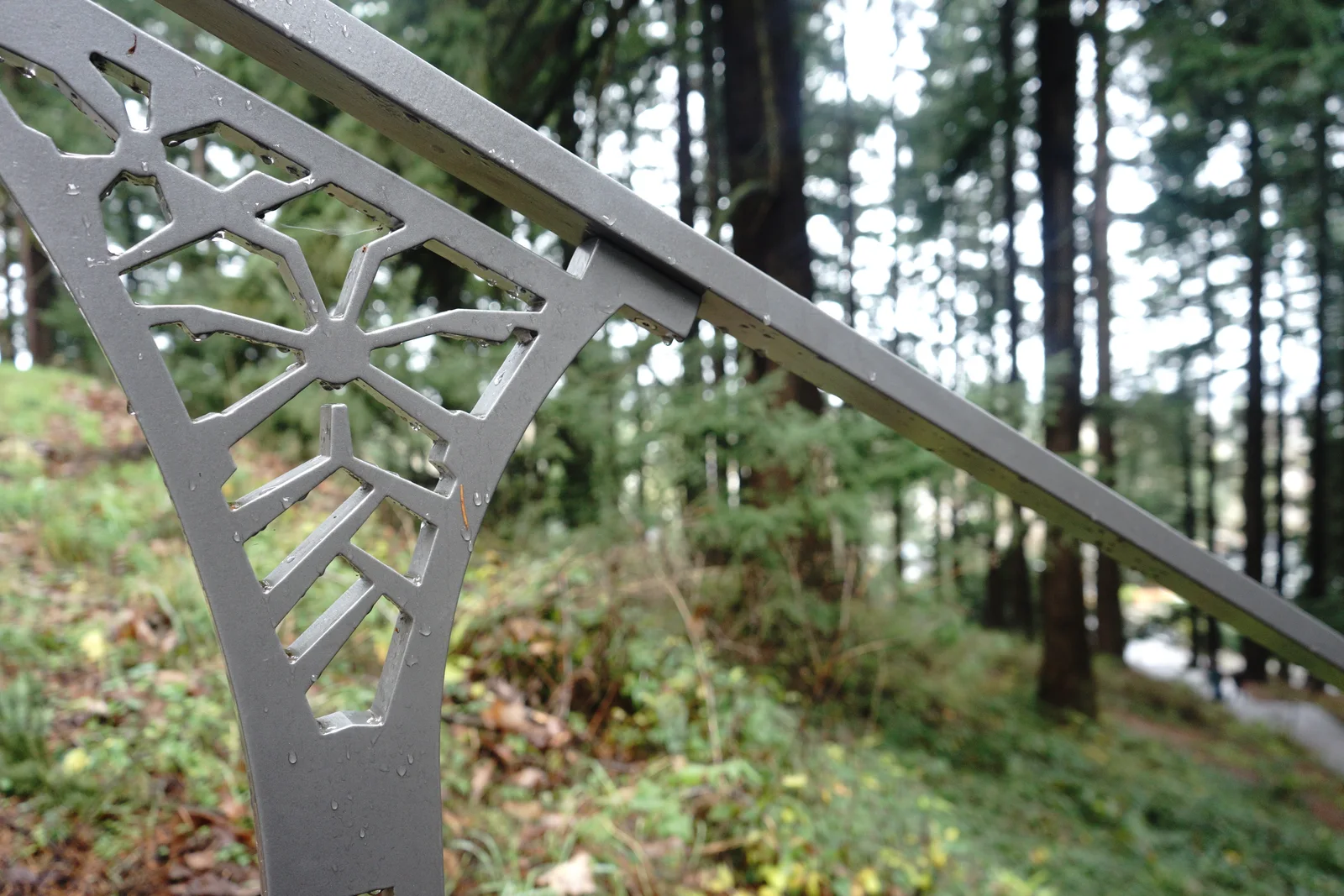 Pacific Northwest Wilderness Monograph Study #2203